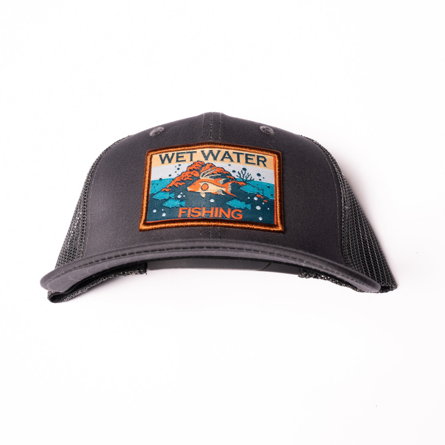 Hogfish Snap Back