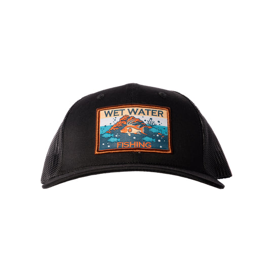 Hogfish Snap Back