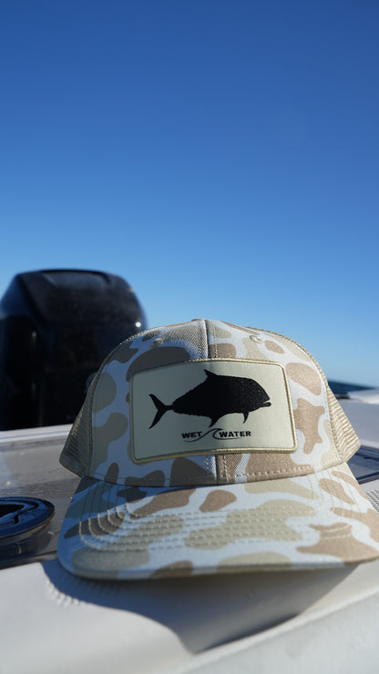 African Pompano Snapback