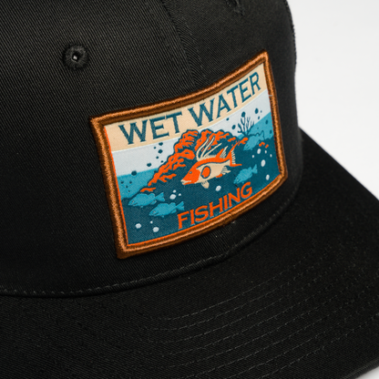 Hogfish Snap Back