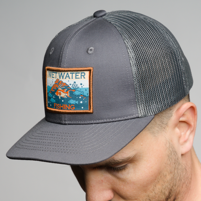 Hogfish Snap Back